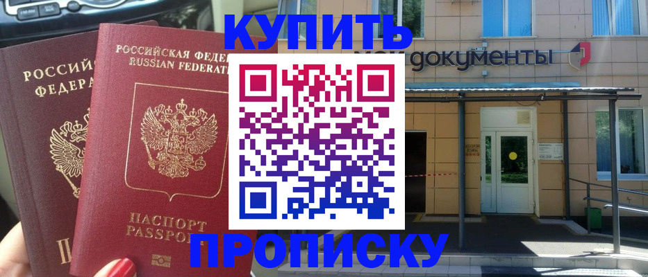 где прописаться в Дмитрове